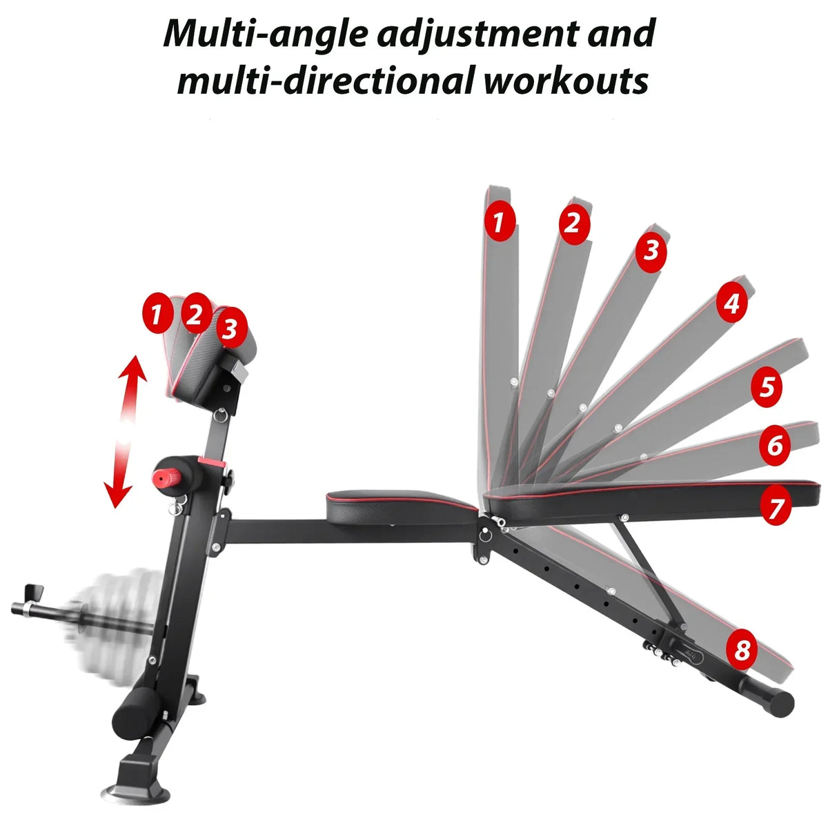 Apex Pro Adjustable Bench