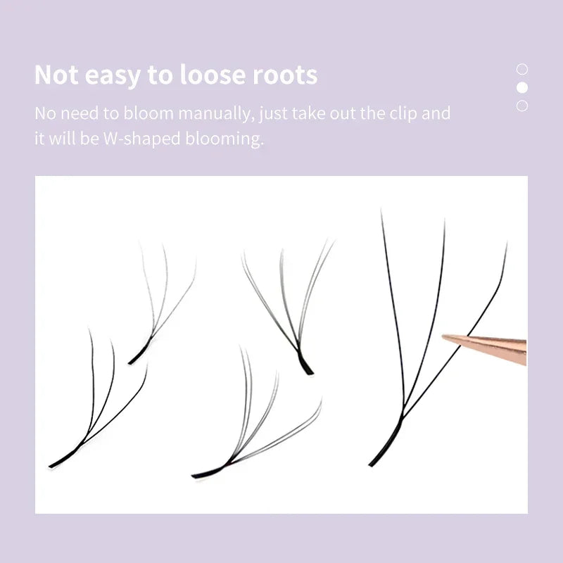 3D Bloom W-Extension Lashes